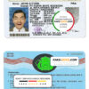 Indonesia driver license Psd Template