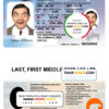 Northwest Territories driver license Psd Template