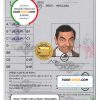 Philippines International driving permit (Vienna Convention format) template in PSD format, fully editable