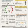 Argentina Edenor easy to fill utility bill template in Word (.doc) and PDF (.pdf) format scan