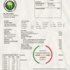 Belize Electricity Limited electricity utility bill template in Word and PDF format scan