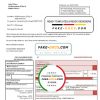 Austria Stadtwerke Feldkirch utility bill template in Word and PDF format