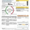 Argentina Edenor easy to fill utility bill template in Word (.doc) and PDF (.pdf) format