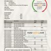 Bangladesh Rupali bank statement template in Word and PDF format