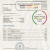 Belarus Alfa bank statement template in Word and PDF format