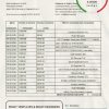 Belarus Belarusbank bank statement easy to fill template in Excel and PDF format