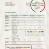 Belarus Belinvest bank statement template in Word and PDF format
