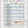 Belgium AXA bank statement easy to fill template in .xls and .pdf file format