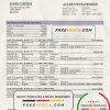 Belgium Beobank statement template in Word and PDF format