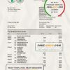 Benin African Development bank statement template in Excel and PDF format