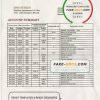 Bhutan Druk PNB bank statement template in Word and PDF format