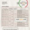 Bosnia and Herzegovina Addiko bank statement template in Word and PDF format