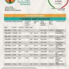 Botswana First National Bank statement template in Word and PDF format, good for address prove