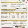 Brunei Bank Islam Brunei Darussalam bank statement template in Word and PDF format