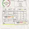 Bulgaria Raiffeisen bank statement, Word and PDF template