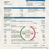 Cameroon BGFI Bank statement template in Word and PDF format