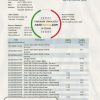 Cameroon Ecobank bank statement easy to fill template in .xls and .pdf file format