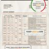Cameroon SCB bank statement template in Word and PDF format