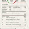 Cameroon UBA bank statement easy to fill template in Excel and PDF format