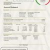 Central African Republic Bank of Central African States BEAC bank statement easy to fill template in .xls and .pdf file format (AutoSum)