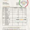 Central African Republic Banque Populaire Maroco Centrafricaine bank statement .xls and .pdf template (AutoSum)