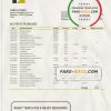Chad Commercial Bank of Tchad bank statement template in Word and PDF format
