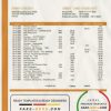 Chile Banco del Estado de Chile bank statement template in Word and PDF format