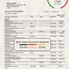 China Citic Bank Corp bank statement template in Word and PDF format
