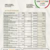 China Development bank statement template in Word and PDF format