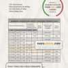 China Everbright bank statement template in Word and PDF format