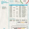 China Industrial and Commercial Bank of China bank statement template in Word and PDF format