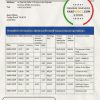 Costa Rica Banco Nacional de Costa Rica proof of address bank statement template in Word and PDF format
