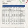 Costa Rica Banco Nacional bank statement easy to fill template in .xls and .pdf file format