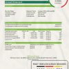 Croatia OTP Bank statement easy to fill template in Excel and PDF format