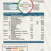 Czech HSBC bank statement easy to fill template in Excel and PDF format