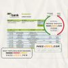 Czechia Air bank statement template in Word and PDF format
