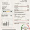 Czechia Veolia Energy Czech Republic energy utility bill template in Word and PDF format