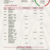 Denmark Arbejdernes Landsbank bank statement easy to fill template in Excel and PDF format