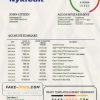 Denmark Nykredit bank statement template in Word and PDF format