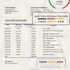 Denmark Nykredit bank statement easy to fill template in .xls and .pdf file format