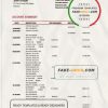 Dominica Barnett Capital bank statement template in Word and PDF format