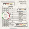 Dominican Republic Bid bank statement Excel and PDF template