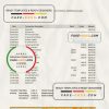 Ecuador Banco del Austro bank statement Excel and PDF template
