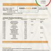 Ecuador Banco Internacional bank statement template in Word and PDF format