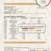 Ecuador Banco Internacional bank statement easy to fill template in Excel and PDF format