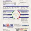 Ecuador Disgaspro gas utility bill template in Word and PDF format scan