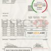 Egypt HSBC bank statement template in Word and PDF format