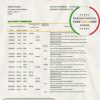 Egypt National Bank of Egypt bank statement easy to fill template in Excel and PDF format