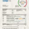 Estonia Coop Pank proof of address bank statement template in Word and PDF format,(.doc and .pdf)