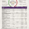 Estonia Inbank bank statement template, Word and PDF format (.doc and .pdf)